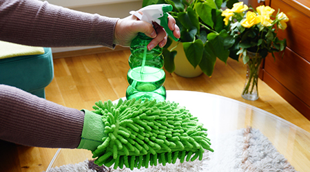 Cleaning Services